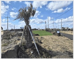  2025Ÿ��7491 ���� �������� ������ �ϰ��� 1131-2      ����(��1)���