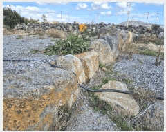  2025Ÿ��7491 ���� �������� ������ �ϰ��� 1131-2      ����(��1)���