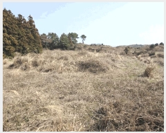  2025Ÿ��7580  �����