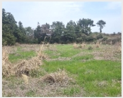  2025Ÿ��7580  �����