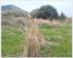  2025Ÿ��7580  �����