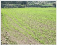  2025Ÿ��7580  �����