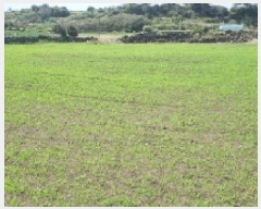  2025Ÿ��7580  �����