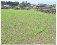  2025Ÿ��7580  �����