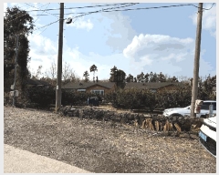  2025Ÿ��7625  ���ð��