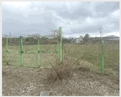  2025Ÿ��7643  �Ӿ߰��