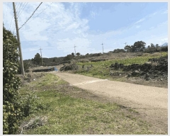  2025Ÿ��7643  �Ӿ߰��