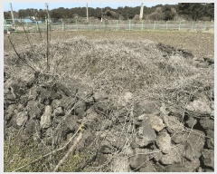  2025Ÿ��7643  �Ӿ߰��