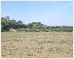  2025Ÿ��7652 ���� �������� ������ ��޸� 991-1      ����(��1)���