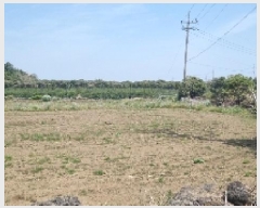  2025Ÿ��7652 ���� �������� ������ ��޸� 991-1      ����(��1)���