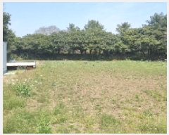  2025Ÿ��7652 ���� �������� ������ ��޸� 991-1      ����(��1)���