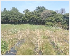  2025Ÿ��7652 ���� �������� ������ ��޸� 991-1      ����(��1)���