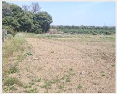  2025Ÿ��7652 ���� �������� ������ ��޸� 991-1      ����(��1)���