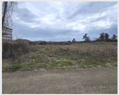  2025Ÿ7662  ֽ Ѱ  771-3      (Ӿ)