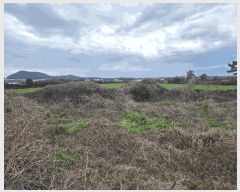  2025Ÿ7662  ֽ Ѱ  771-3      (Ӿ)