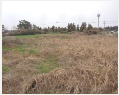  2025Ÿ7662  ֽ Ѱ  771-3      (Ӿ)