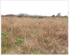  2025Ÿ7662  ֽ Ѱ  771-3      (Ӿ)