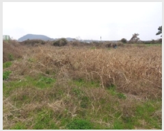  2025Ÿ7662  ֽ Ѱ  771-3      (Ӿ)