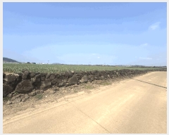  2025Ÿ��7724 ���� �������� ������ ������ 2385-1      ����(�Ӿ�)���