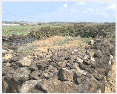  2025Ÿ��7724 ���� �������� ������ ������ 2385-1      ����(�Ӿ�)���