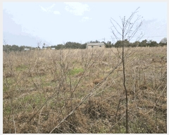  2025Ÿ��7752 ���� ���ֽ� �Ѱ�� û���� 439      ����(��1)���