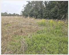  2025Ÿ��7752 ���� ���ֽ� �Ѱ�� û���� 439      ����(��1)���