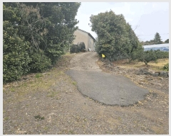  2025Ÿ��7752 ���� ���ֽ� �Ѱ�� û���� 439      ����(��1)���