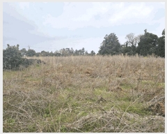  2025Ÿ��7752 ���� ���ֽ� �Ѱ�� û���� 439      ����(��1)���