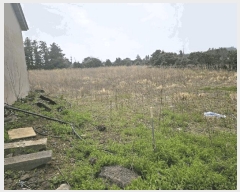  2025Ÿ��7752 ���� ���ֽ� �Ѱ�� û���� 439      ����(��1)���