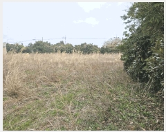  2025Ÿ��7752 ���� ���ֽ� �Ѱ�� û���� 439      ����(��1)���