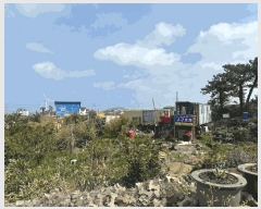  2025Ÿ��7779 ���� ���ֽ� �Ѹ��� ���ɸ� 462-1      ����(��1)���