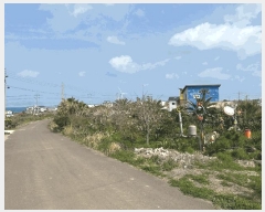  2025Ÿ��7779 ���� ���ֽ� �Ѹ��� ���ɸ� 462-1      ����(��1)���