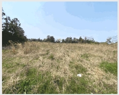  2025Ÿ��7805 ���� ���ֽ� �ֿ��� �ϱ�1�� 1132-2      ����(������)���