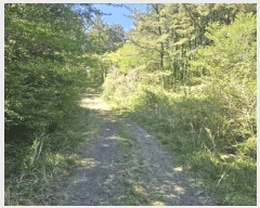  2025Ÿ��7896 ���� ���ֽ� �ֿ��� �ұ渮 ��253-5      ����(�Ӿ�)���