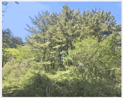  2025Ÿ��7896 ���� ���ֽ� �ֿ��� �ұ渮 ��253-5      ����(�Ӿ�)���