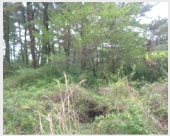  2025Ÿ��7896 ���� ���ֽ� �ֿ��� �ұ渮 ��253-5      ����(�Ӿ�)���