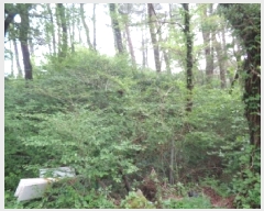  2025Ÿ��7896 ���� ���ֽ� �ֿ��� �ұ渮 ��253-5      ����(�Ӿ�)���