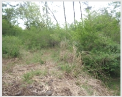  2025Ÿ��7896 ���� ���ֽ� �ֿ��� �ұ渮 ��253-5      ����(�Ӿ�)���