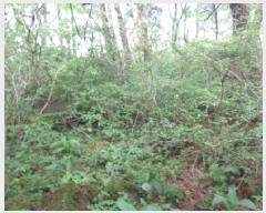  2025Ÿ��7896 ���� ���ֽ� �ֿ��� �ұ渮 ��253-5      ����(�Ӿ�)���