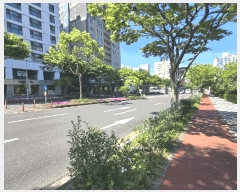  2025Ÿ��7906  ���ǽ��ڰ��