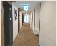  2025Ÿ7914  ֽ  917-2 ֳȣ 18 1812ȣ    ܵ(ȣ)