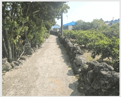  2025Ÿ��7922  �����