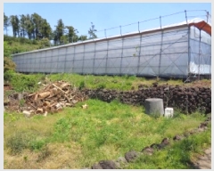  2025Ÿ��7922  �����