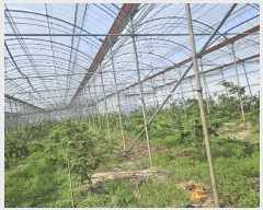  2025Ÿ��7922  �����