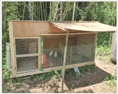  2025Ÿ��7946 ���� �������� ������ ������ 1360-2      ����(������)���