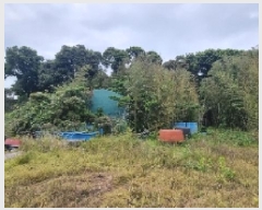  2025Ÿ��7946 ���� �������� ������ ������ 1360-2      ����(������)���