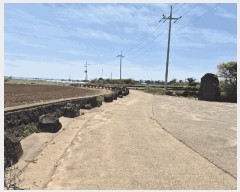  2025Ÿ��7955 ���� �������� ������ �ϰ��� 378      ������