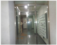  2025Ÿ��8000  ���ǽ��ڰ��