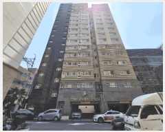  2025Ÿ��8000  ���ǽ��ڰ��