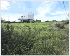  2025Ÿ��8048  �����